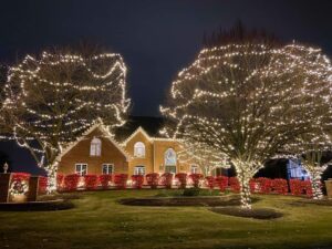 LED Holiday Lighting