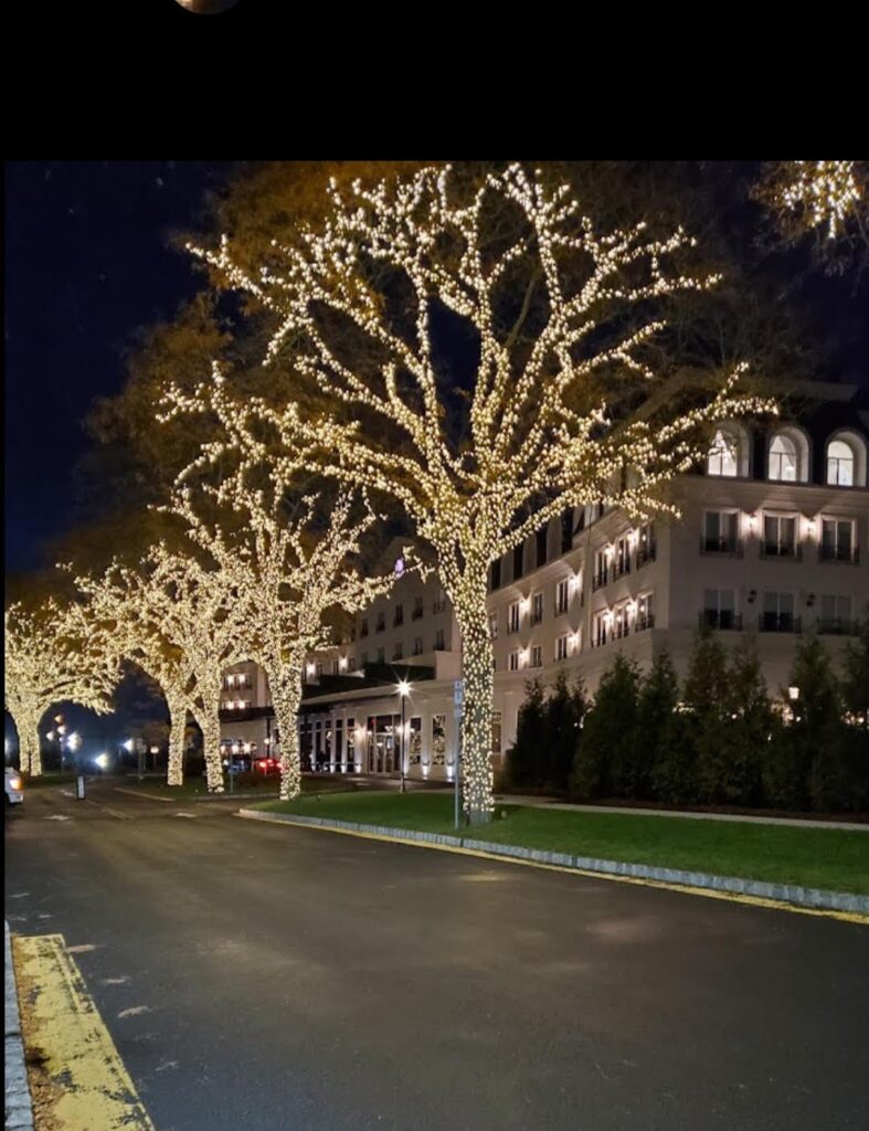 professional-commercial-holiday-lighting