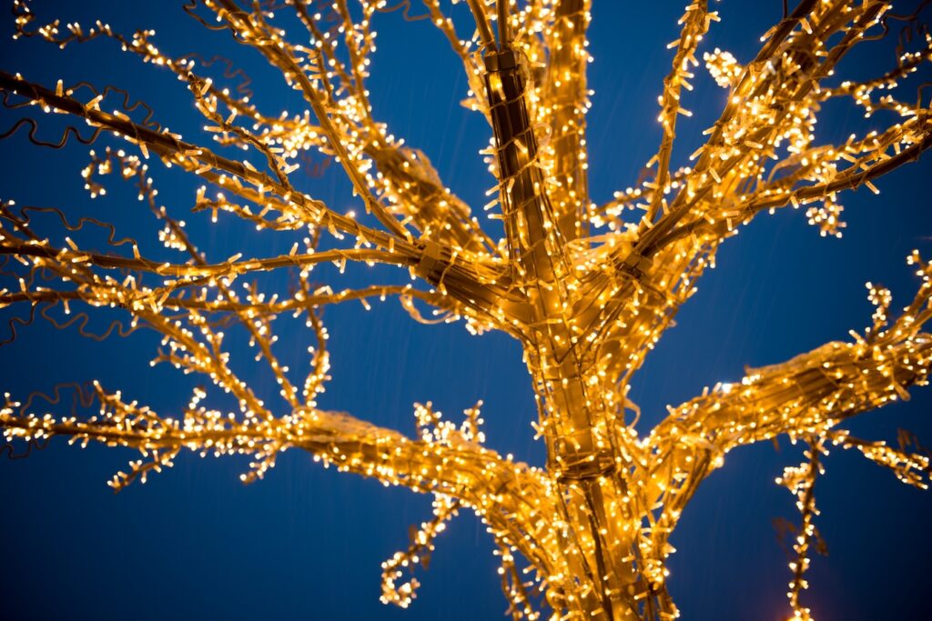 NJ Professional Holiday Lighting Services