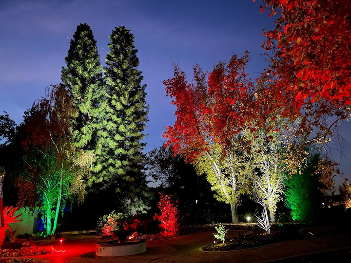 landscape-holiday-lighting near me