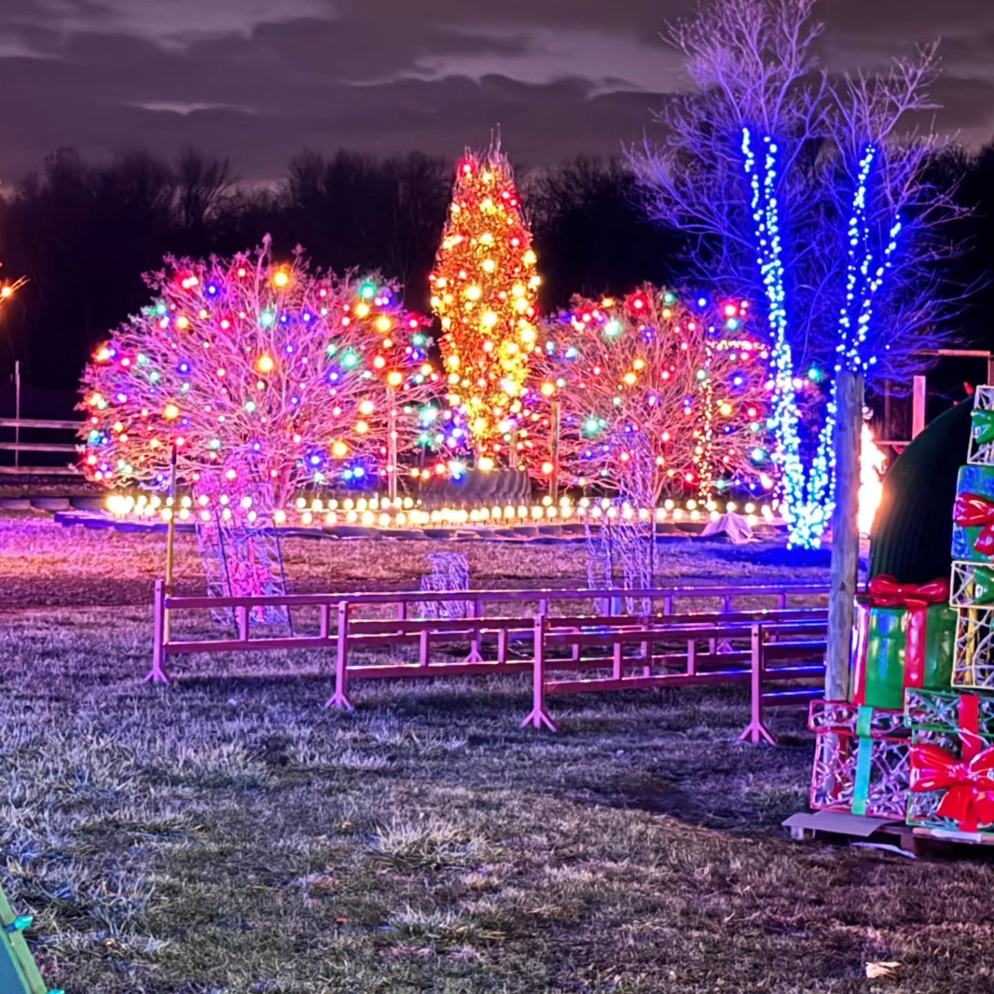 Multicolor holiday light display with lit trees and arches