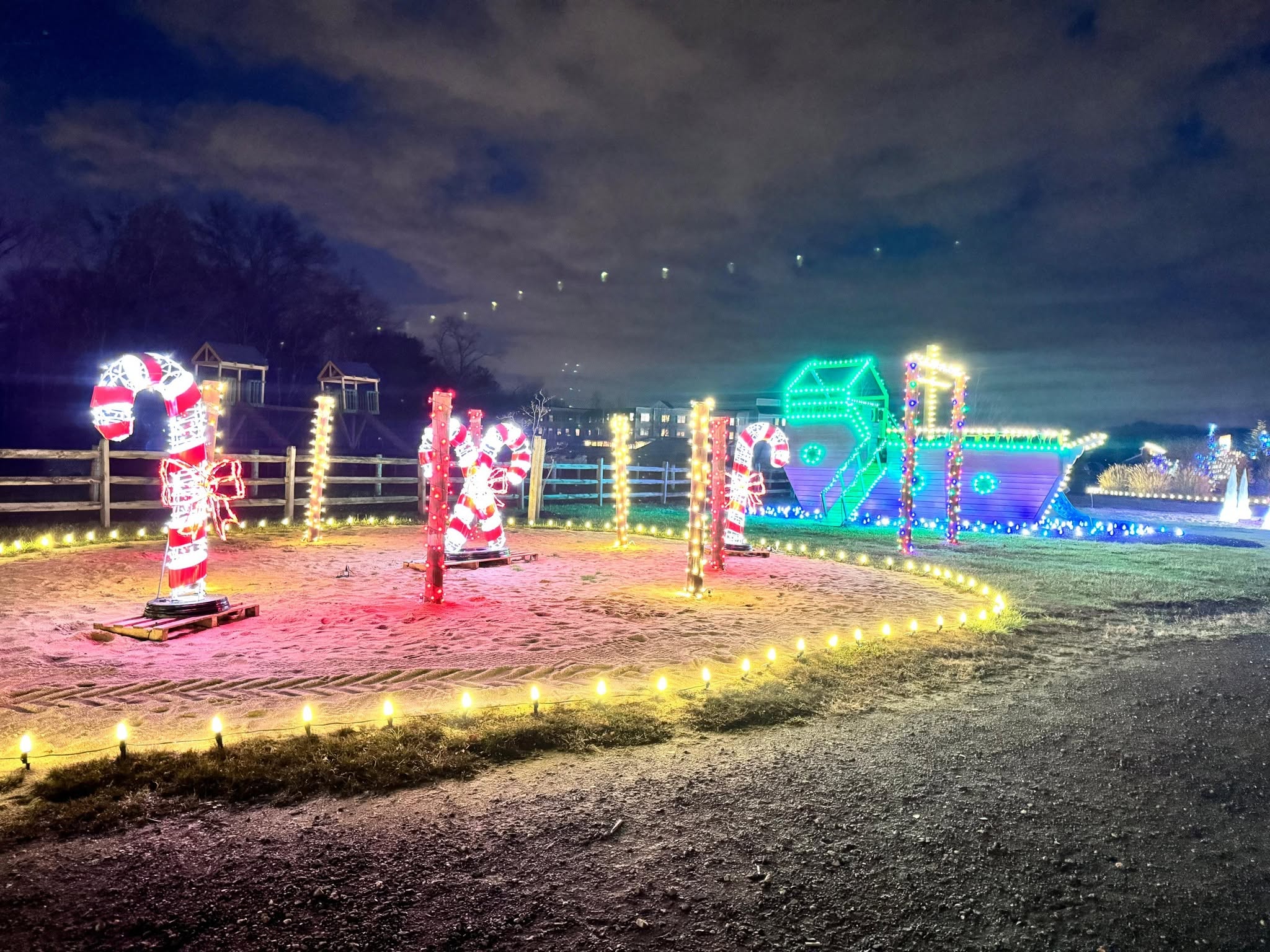 Holiday light display with lit shapes along a path