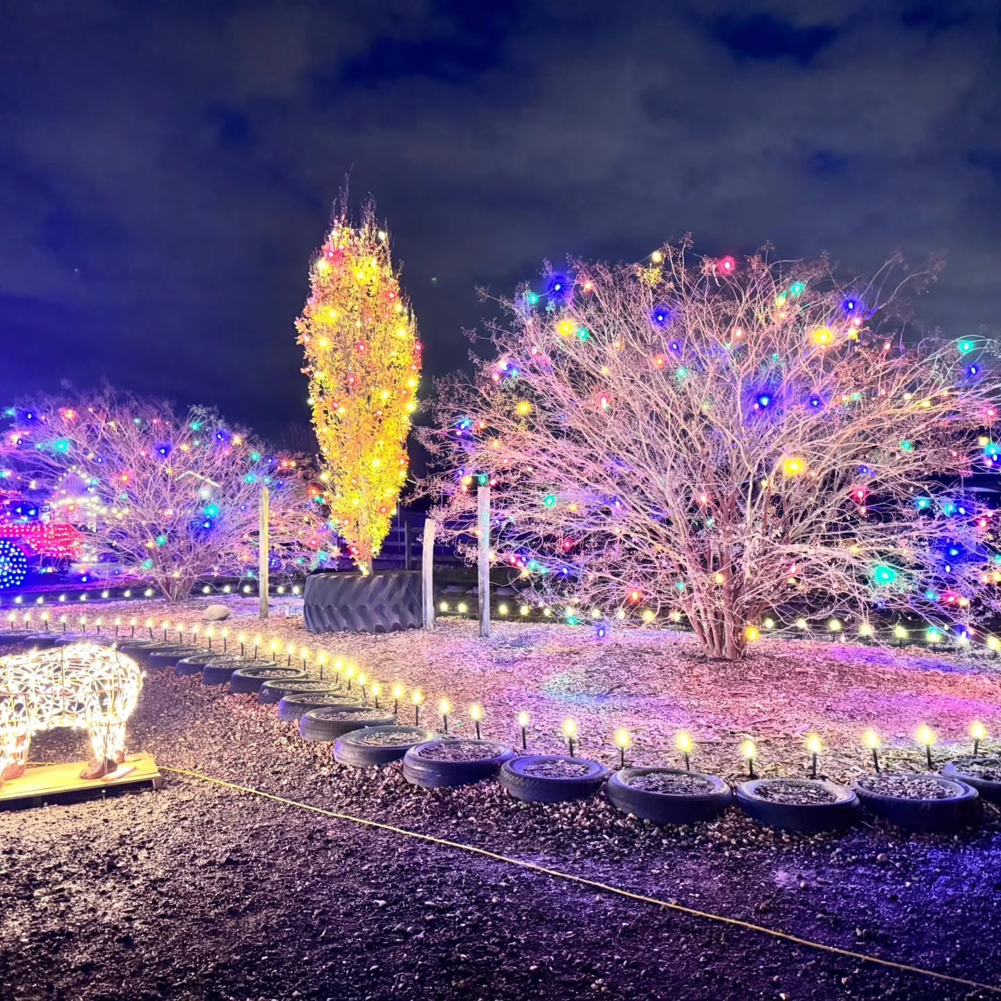 Wedding lighting designed by Midas Holiday Lighting in New Jersey