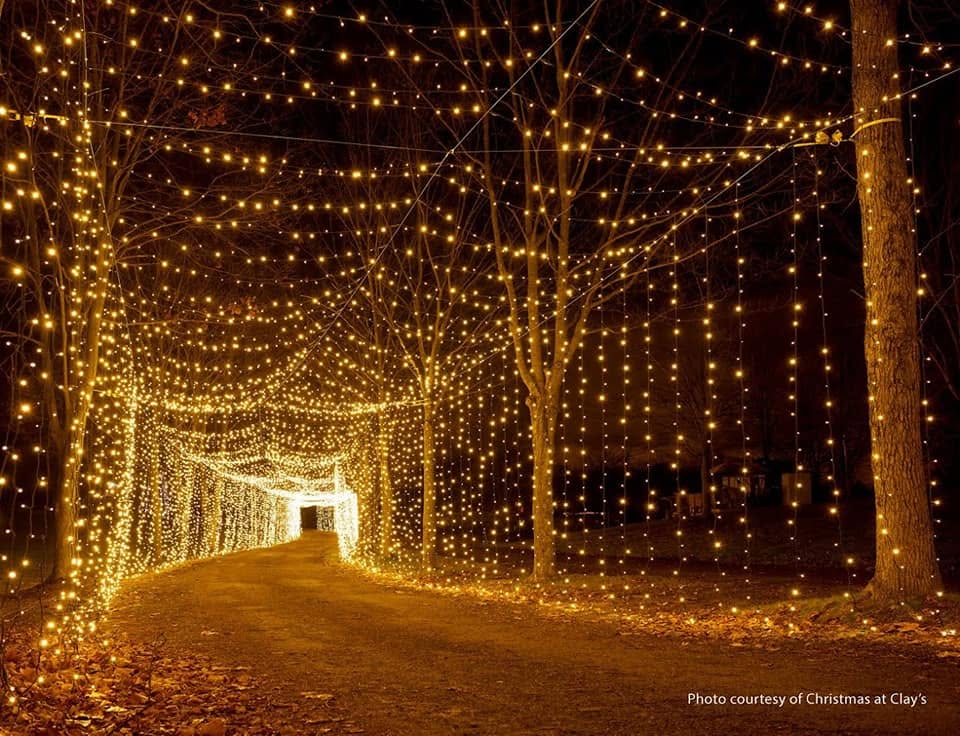 Canopy of warm white string lights over an event space