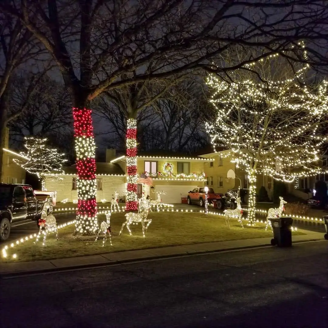 Roofline, ground lights and tree wraps with a touch of color