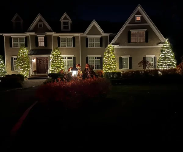 Front garden trees wrapped in warm white lights by Midas