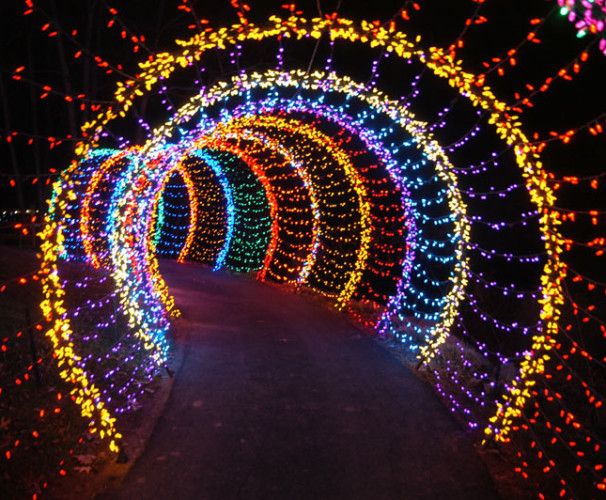 Commercial holiday lighting on a storefront
